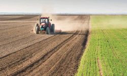 العراق الخامس عربياً والـ109 عالمياً في مؤشر الزراعة